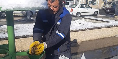 Can Dostlara Belediye Eli
