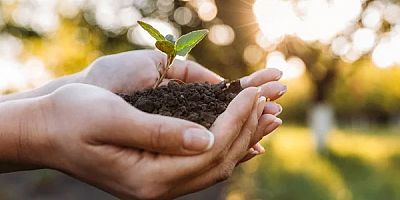 Cemre Toprağa Düştü