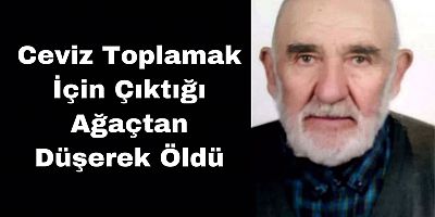 Ceviz Toplamak İçin Çıktığı Ağaçtan Düşerek Öldü