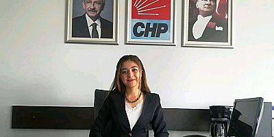 CHP’li Albayrak Pandemi Sürecinde Zamlanan Harçlar Paralarına Tepki Gösterdi