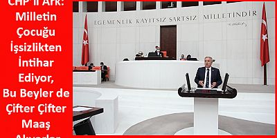 CHP’li Ark: Milletin Çocuğu İşsizlikten İntihar Ediyor, Bu Beyler de Çifter Çifter Maaş Alıyorlar