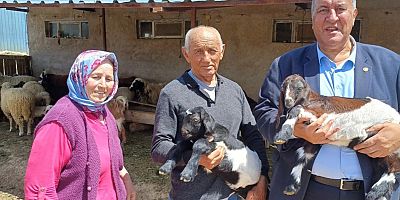 CHP’li Gürer: 300 Koyun Projesi Sonuç Vermedi, Şimdi 150 Bin Koyun Gündemde