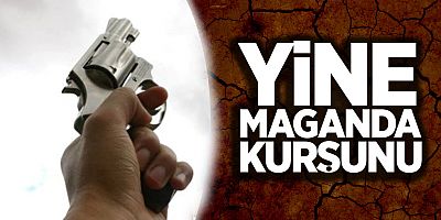 CHP'nin Önergesine Cevap: ‘Maganda Kurşunu’ 4 Yılda 104 Can Aldı!