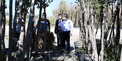 Daha Yeşil Bir Melikgazi İçin Ağaçlar Yolda