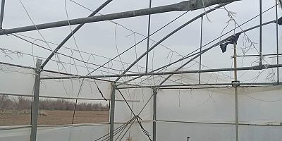 Defalarca Hasar Gören Serasını Satışa Çıkardı