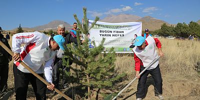 Develi'de 20 Bin Fidan Toprakla Buluştu
