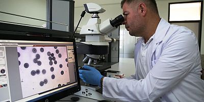 Develili Hemşeriden Kırık Tedavileri İçin Yeni Keşif