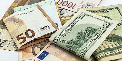 Dolarda Dalgalı Seyir: Yeniden Yükselişe Geçti