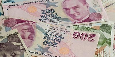 Dövizden TL’ye Geçiş İçin Zorunlu Karşılık Teşviki Ne Anlama Geliyor?