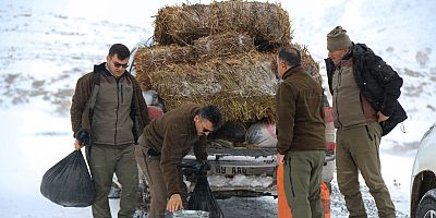 Drone İle Görüntülenen Dağ Keçilerine Yiyecek Bırakıldı