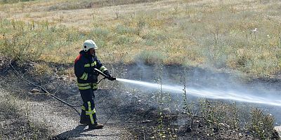Elektrik Direğine Konan Kuşlar, Yangına Neden Oldu