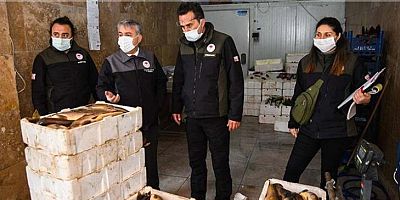 Elektroşok Yöntemiyle Tutulan 1 Ton 290 Kilo Balığa El Konuldu