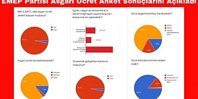 EMEP Kayseri İl Örgütü Asgari Ücret Anketi Sonuçları Açıklandı