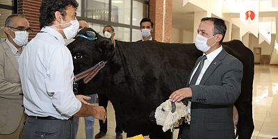 ERÜ Rektörü Çalış, Hayvan Simülatörlerini İnceledi