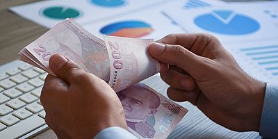 Esnaf ve Sanatkârın Hazine ve Maliye Bakanlığı Faiz Destekli Kredi Borçlarına Erteleme