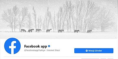 Facebook Kayserili Fotoğrafçının Yılkı Atlarını Kapak Fotoğrafı Yaptı