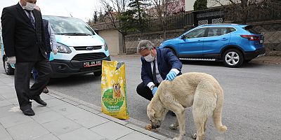 Geri Dönüşüm Atıkları Melikgazi'yle Ziyan Olmuyor