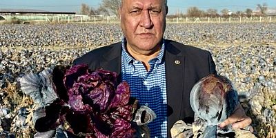 Gürer: 2025 Yılı Üretim Kaybı Rafa Zam Olarak Yansıdı