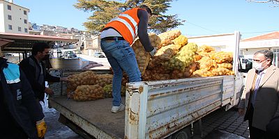 Hacılar Belediyesi'nden İhtiyaç Sahiplerine 50 Ton Patates