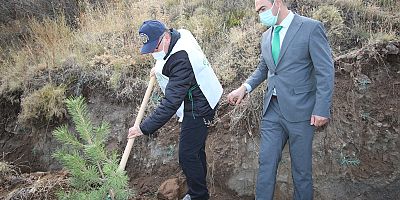 Hacılar Ortaseki Mevkinde 1100 Fidan Toprakla Buluştu