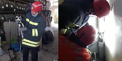 Havalandırma Borusuna Sıkışan Kediyi İtfaiye Kurtardı