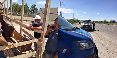 Hayvan Denetimleri Artırıldı