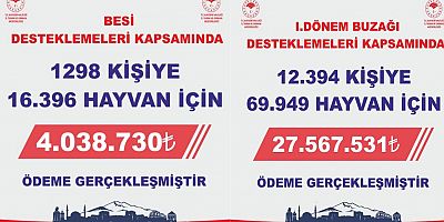 Hayvancılıkta Destek Ödemeleri Başladı