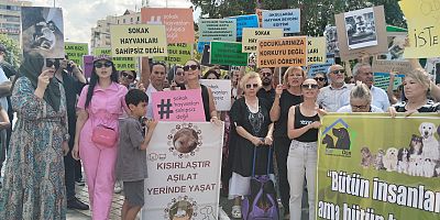 Hayvanseverler Sokak Hayvanları İçin Toplandı: Kanun Teklifi Geri Çekilmelidir
