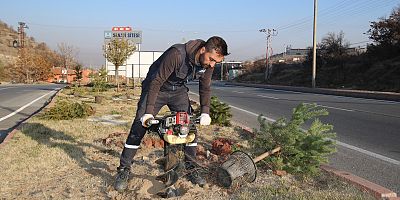 Hedef 1 Milyon Fidan