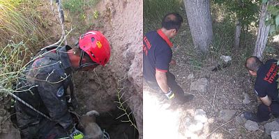 Büyükşehir İtfaiyesi, Tüm Canları Kurtarmaya Devam Ediyor