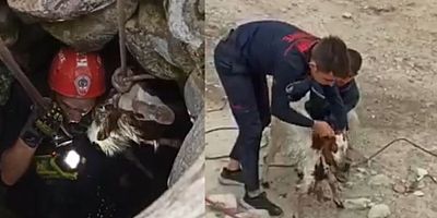 İtfaiye Su Kuyusuna Düşen Keçiyi Kurtardı