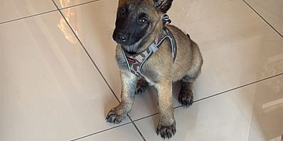 İtfaiyeci Anne, Narkotik Polisi Baba; Ares İse Kayseri’de Esnaflık Yapacak