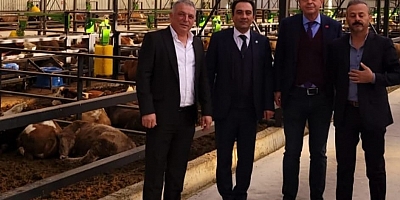 İyi Partililer Besicilerin Sıkıntılarını Dinledi