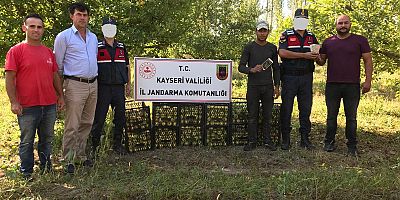 Jandarma 5 ayrı hırsızlık olayını aydınlattı