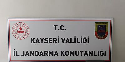 Jandarmadan ruhsatsız tabanca operasyonu: 2 gözaltı