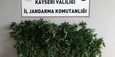 Jandarmadan Uyuşturucu Madde Operasyonu: 1 Gözaltı