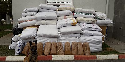 Kargo Aracında 2 Buçuk Ton Kaçak Tütün Ele Geçirildi!