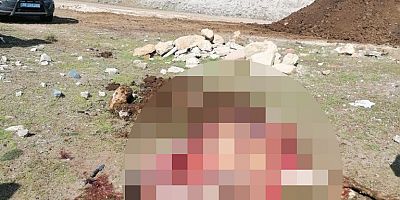 Kayseri’de 2 Kişi At Keserken Suç Üstü Yakalandı!