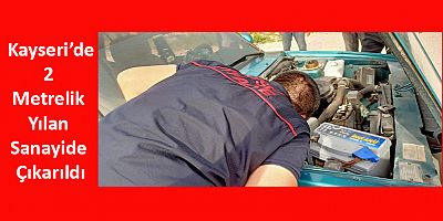 Kayseri'de 2 Metrelik Yılan Sanayide Çıkarıldı