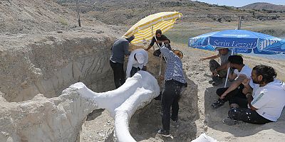 Kayseri'de 2 Yılda 400'den Fazla Fosil Gün Yüzüne Çıkarıldı