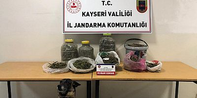 Kayseri’de 21 KG Esrar Ele Geçirildi: 4 Gözaltı