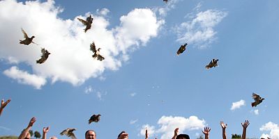 Kayseri’de 550 Kınalı Keklik Doğaya Bırakıldı
