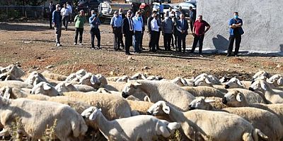 Kayseri’de 95 İşletme Hibe Alacak