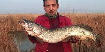 Kayseri’de Amatör Balıkçı, 13 Kiloluk Turna Balığı Yakaladı