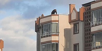 Kayseri’de Apartman Çatısında İntihar Girişimi