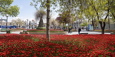 Kayseri’de Bahar Güzelliği