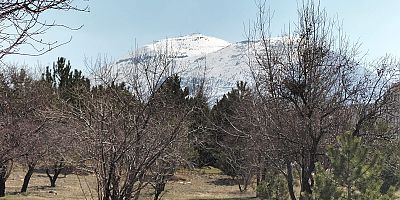 Kayseri'de Bahar Havası