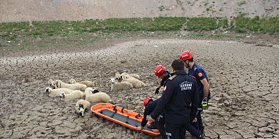 Kayseri’de Bataklıkta Mahsur Kalan Koyun Sürüsünü İtfaiye Kurtardı