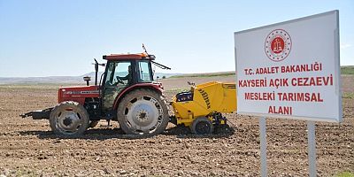Kayseri'de Boş Araziye Patates Tohumu Ekildi