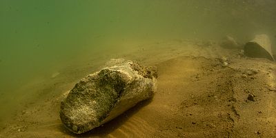 Kayseri’de Dünyanın İlk Kara Canlısının Fosili Su Altında Bulundu